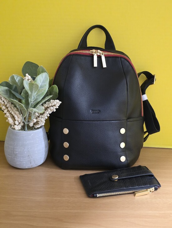 Hammitt Handbags - !! 2PCS!! Hammitt MD Backpack with Gold Accents & 210 Wallet